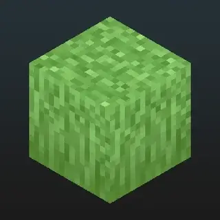 Prabhat's Full Grass