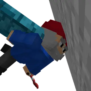 Elytra Bonk