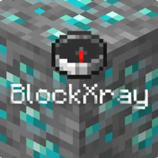 BlockXray