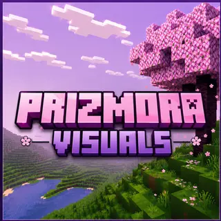 PRIZMORA VISUALS