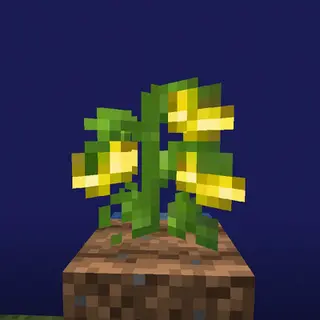 Um More Crops