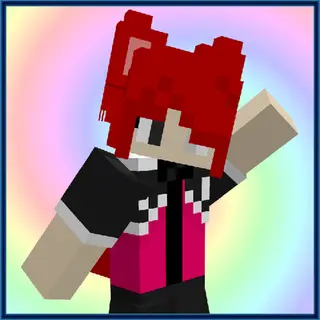 Skin 3D Accessories