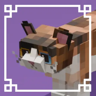 Refined Cats