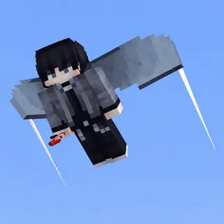 Elytra Contrails