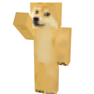 Meme Skins