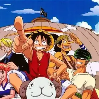 one piece skins