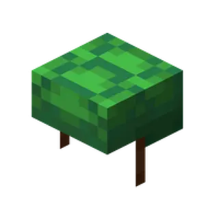 Actual Turtle Helmet