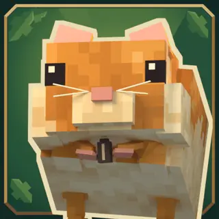 Paws & Claws : Rodent Companions