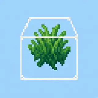 Air Place Logic — Mid-Air Plants, Flowers, Coral & Buttons