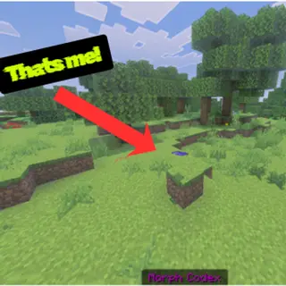 Morph Mastery: Block Hide & Seek