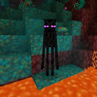 Super Simple Enderman AntiGrief