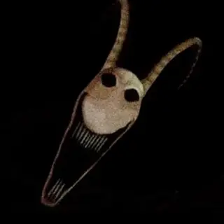 Stalkers from isagi 