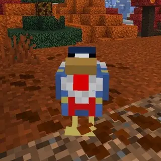 Chickens & Stuff