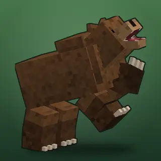 OLLA's Bears