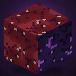 Horrors Beyond the Void