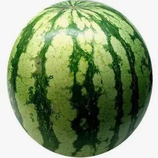 The war watermelon