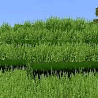 Realistic Grass