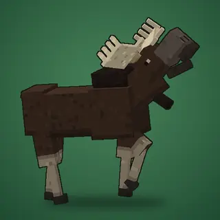 OLLA's Moose
