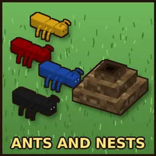 Ants and Nests