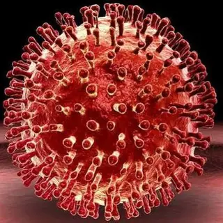 THE VIRUS