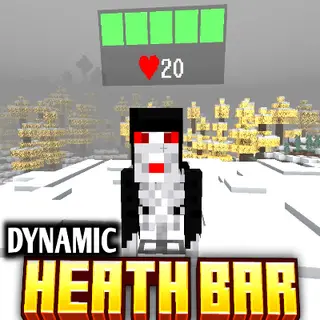  DHealth & Damage Bar 