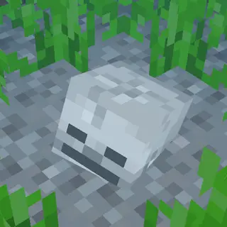 Remnants of the Fallen