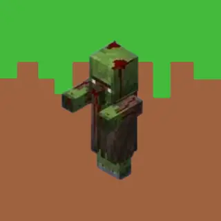 Custom Cured Discounts and No Transformation Witch to Villagers