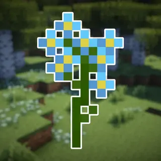 Forget-me-not Wildflowers BE