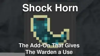 Shock Horn - The Add-On That Gives The Warden a Use