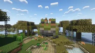 Swamp Frog Hideout
