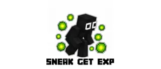 Sneak Get Exp