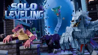 Solo Leveling Addon