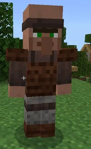 Villager Soldier