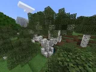 Aesthetic Trees