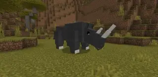 Rhino