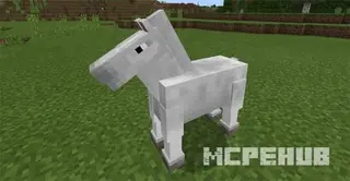The Old Horses