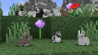 Better Farm Animals Textures