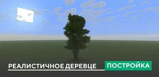 Realistic Little Tree Build