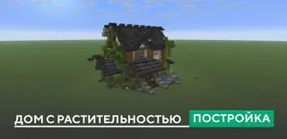 House with Vegetation