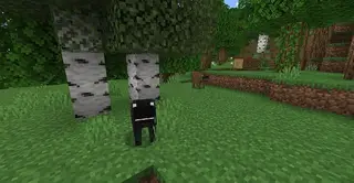Dogs+ Add-on