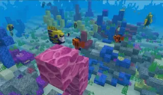 Angelfish Addon for Minecraft Bedrock 26.30