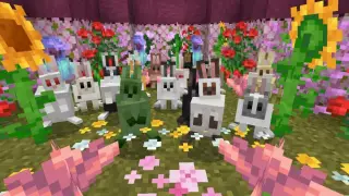 Rabbit Expanded Texture Pack for Minecraft Bedrock 26.50