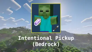 Intentional Pickup Addon for Minecraft Bedrock 26.40