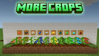 More Crops Addon for Minecraft Bedrock 26.10