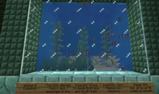 Clownfish Addon for Minecraft Bedrock 25.90