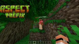 Aspect Prefix Addon for Minecraft Bedrock 26.20