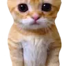 indefinied