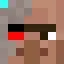 Villager voices