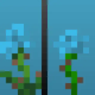 Cyan Rose (Classic)