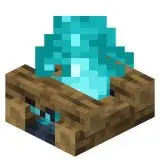 Soul Campfire Haunt